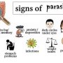 symptomes-parasites.png
